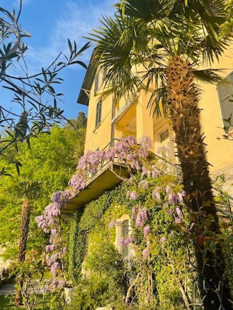 Villa Gina วาเรนนา ภายนอก รูปภาพ